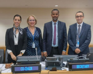 (de gauche à droite) Les trois co-présidents du Comité d’experts UN-GGIM et le rapporteur : Ms. Paloma Merodio Gómez (Mexique), Ms. Ingrid Vanden Berghe (Belgique), Dr Tulu Besha Bedada (Ethiopie), Mr. Kamal Outghouliast (Maroc)